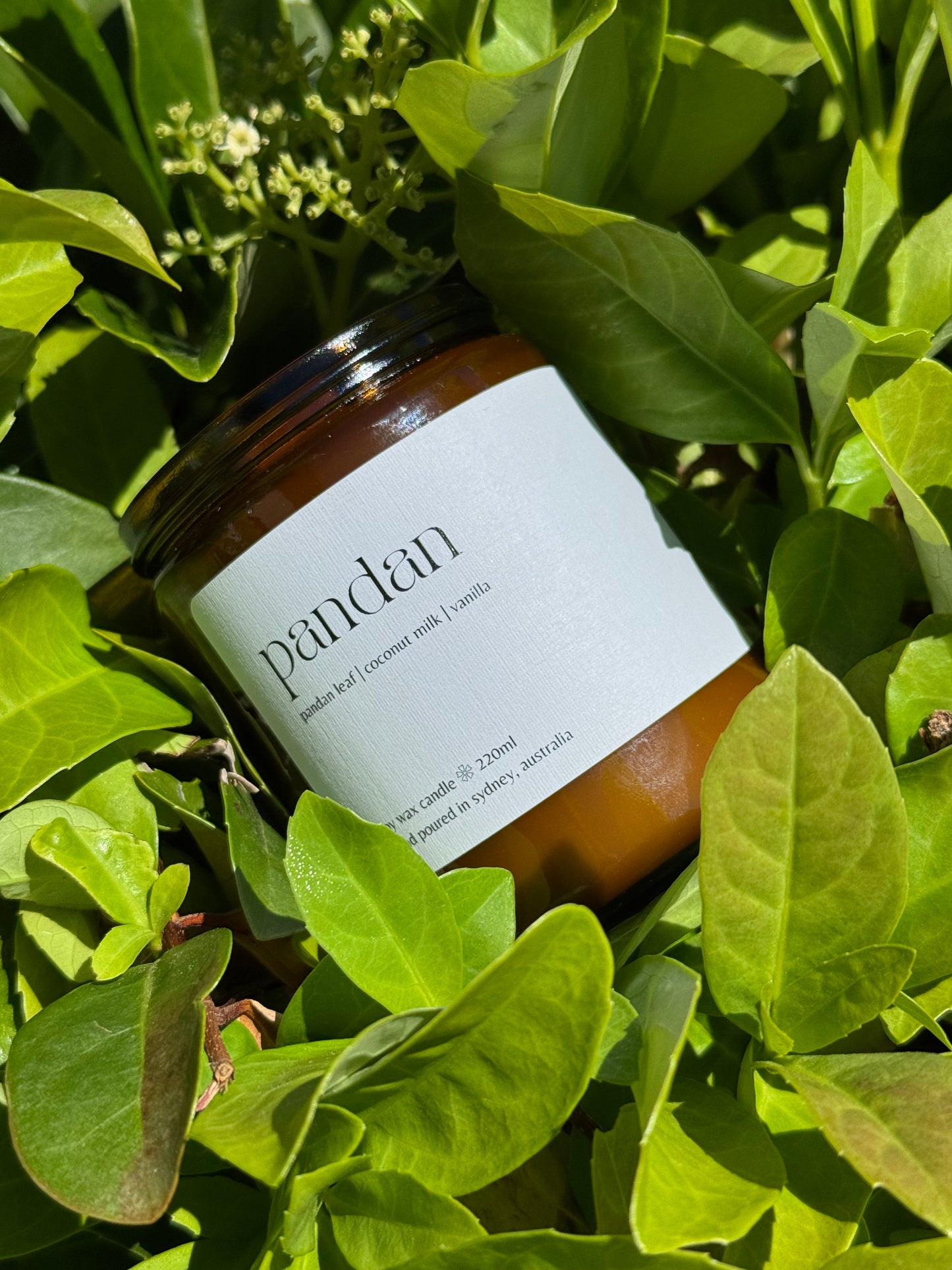 PANDAN: PANDAN LEAF | COCONUT MILK | VANILLA