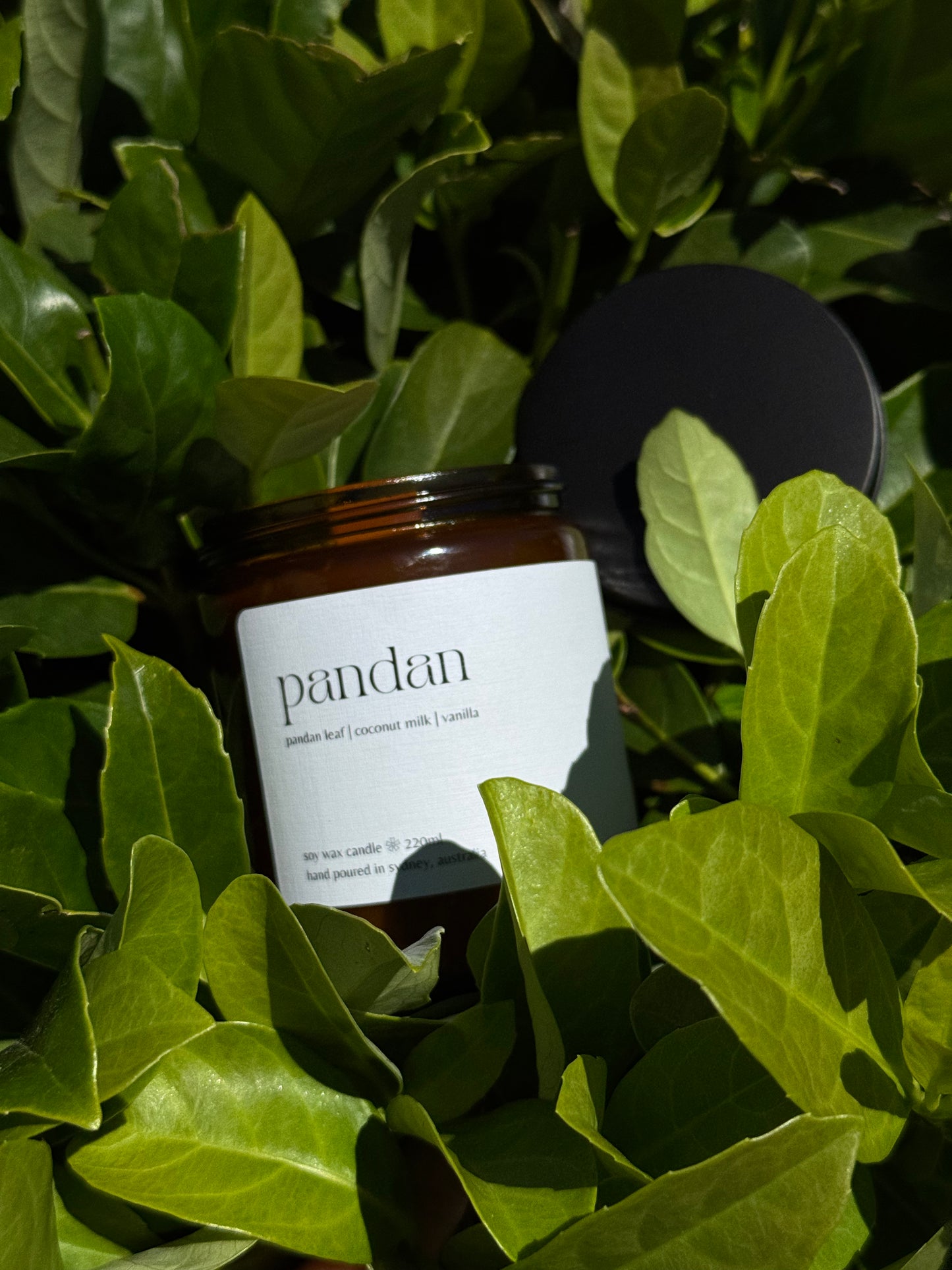 PANDAN: PANDAN LEAF | COCONUT MILK | VANILLA